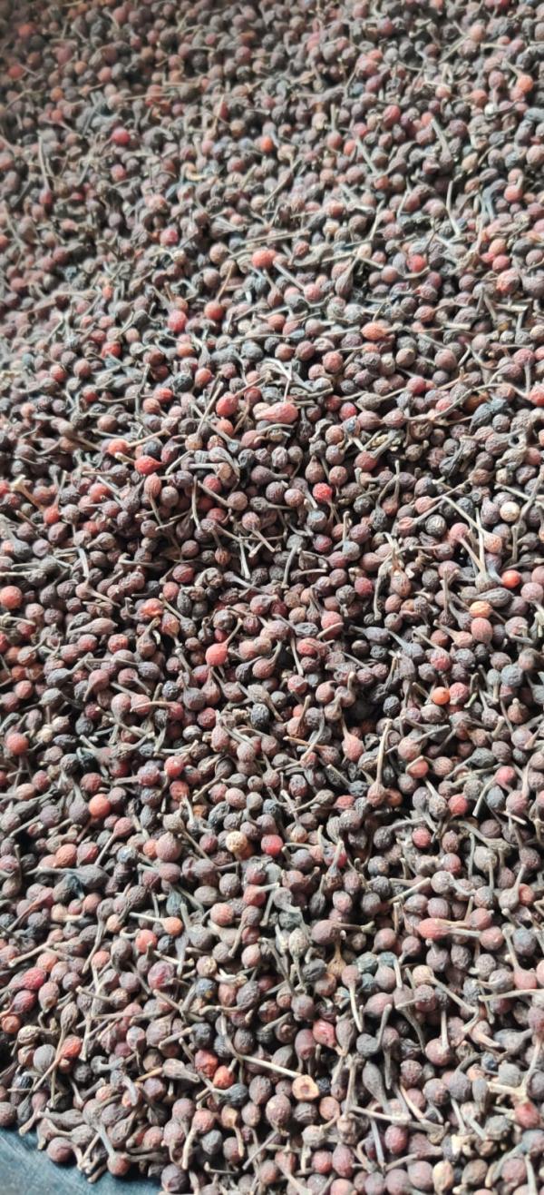  Poivre Sauvage Et Épices De Madagascar Expo - épices aromates nous proposons du poivre sauvage (voatsiperifery) de madagascar,  récolté et préparé selon un savoir-faire unique. produit 100 % naturel,  séché avec soin afin de préserver toute son intensité aromatique et sa qualité exceptionnelle.----no