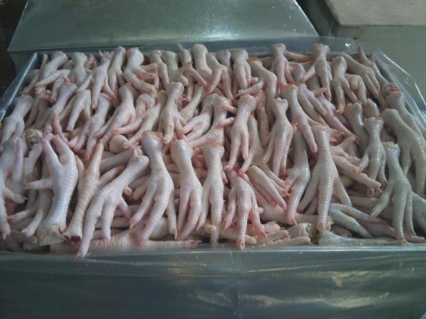  Frozen Chicken Paws - meat and eggs we supply,  via our partner,  frozen chicken paws – grade a –--gacc approved – all certificates available (halal,  haccp,  sgs,  health).--price- usd 2, 800/mt cif china (commission included).--payment- irrevocable,  non-transferable sblc mt760 / irrevocable l/c.--packing- 20 kg/carton,  27 mt per 40’rh con