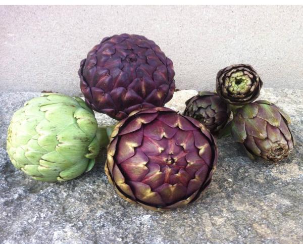  Vente De Légumes Spécial Bretons - fruits et légumes bonjour, --nous sommes fournisseurs de l&eacute;gumes d'origine bretagne,  nous pouvons vous fournir des produits de qualit&eacute;s sur toute l'ann&eacute;e et partout en france et en europe &agrave; des prix attractifs. 