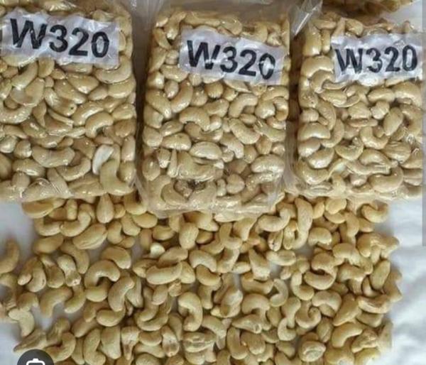  Premium Cashew Nuts From Côte D ivoire - roasted seeds and nuts we are pleased to offer high quality cashew nuts from c&ocirc;te d ivoire one of the world s leading producers renowned for the excellence and rich taste of its cashew kernels. product details origin c&ocirc;te d ivoire packaging 22.68 kg cartons container 20  (16 mt net weight) grades