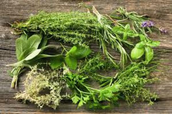  Plantes Aromatiques Épices - épices aromates pour tous vos besoins en plantes aromatiques – verveine,  menthe,  safran et bien d’autres – nous mettons à votre disposition l’expertise de partenaires industriels basés au maroc,  capables de répondre à vos exigences les plus précises.---- que vous soyez un transfor