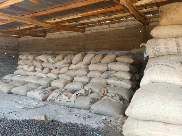  Café Ivoire - café cacao thé bonjour--café made côté d'ivoire trier avec soin pour le meilleur goût. --nous pouvons fournir jusqu'à 1120 tonnes le mois sur 1an.--nous travaillons avec sblc sur la base d une avance 30 % et le reste sblc--ouvert pour un effet fructueuse gagnant gagnant,  merci et t