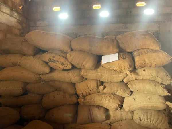  Fève De Cacao Good Fermented - café cacao thé la campagne à démarré nous avons les meilleurs fèves de cacao made in côte d'ivoire de très bonne qualité pour vous.--7250€/mt mode de paiement très flexible 10% avance et 90% lettre de crédit. 