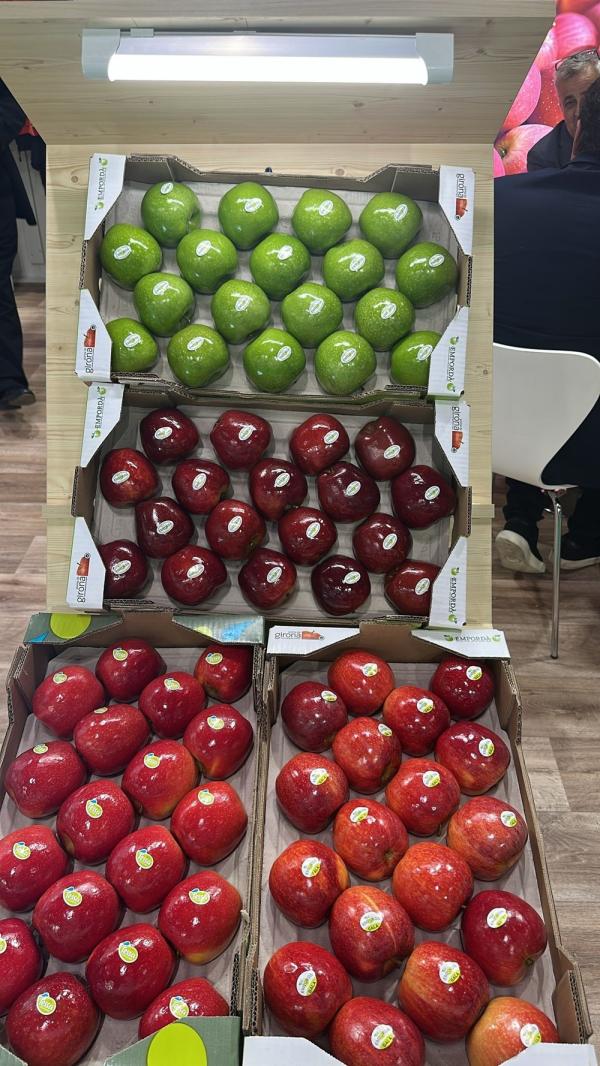  Vente De Fruits - fruits et légumes port de d&eacute;part valence espagne. pommes oranges poires votre devis par whatsapp ou mail dans les meilleurs d&eacute;lais.