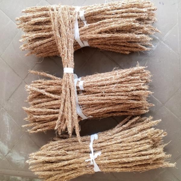  Vente De Tiges De Vétiver (khamare) - horticulture plante biocarburant v&eacute;tiver de haute qualit&eacute; 100% naturel nous vous proposons des tiges de v&eacute;tiver d'une qualit&eacute; exceptionnelle cultiv&eacute;es par nos soins sur notre domaine agricole de pr&egrave;s de 180 hectares en c&ocirc;te d'ivoire. notre engagement une culture sans aucun eng