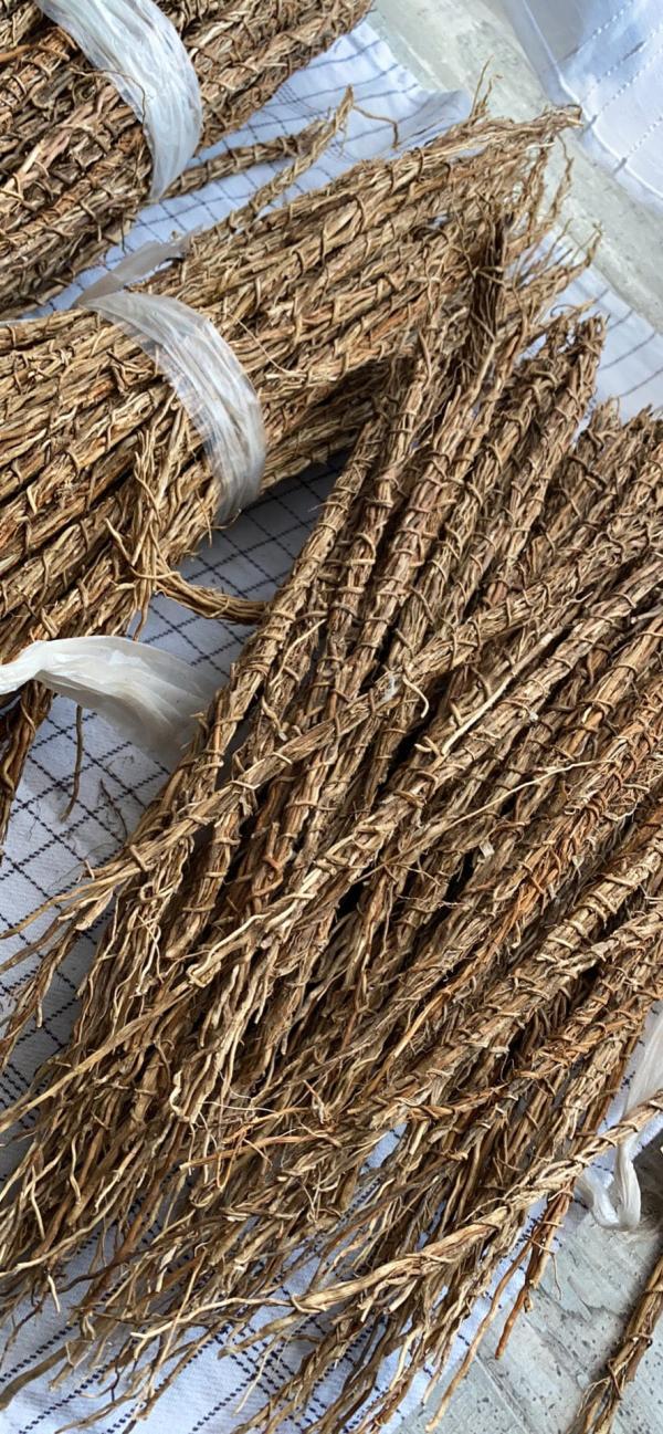  Vétiver De Haute Qualité 100% Naturel - horticulture plante biocarburant v&eacute;tiver de haute qualit&eacute; 100% naturel nous vous proposons des tiges de v&eacute;tiver d'une qualit&eacute; exceptionnelle cultiv&eacute;es par nos soins sur notre domaine agricole de pr&egrave;s de 180 hectares en c&ocirc;te d'ivoire. notre engagement une culture sans aucun eng