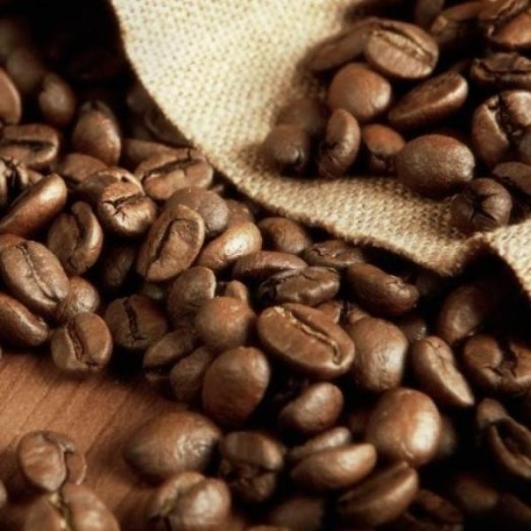  Corporate Offer Ref: Fco-52-2025 - coffee cocoa tea product- green coffee beans – robusta (screen 18)--origin- uganda--available quantity- 760 mt--packaging- 60 kg net in jute bags--loading port- mombasa,  kenya--delivery time- 30 days after l/c notification----price & payment-----spot price fob mombasa- usd 5, 514 / mt----payment - irrevocable letter 