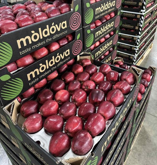  Agros Alimentaire - fruits et légumes statut non defini--nous sommes une entreprise base en turquie  nous commercialisons un peut de tout en quantité industrielle agros aliment notamment le riz,  le ble ,  les pommes fruit , et dans d'autre domaine energi; petrol , le fer a bétons le cuivre contacte nous pour tous vos interet 