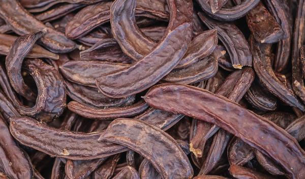  Carob - épices aromates caroube alg&eacute;rienne de luxe (carob pods) | qualit&eacute; export premium ​nous proposons des gousses de caroube 100% naturelles issues des fermes d'[alg&eacute;rie]. notre produit est de haute qualit&eacute; s&eacute;ch&eacute; avec le plus grand soin et totalement exempt de tout additif chi