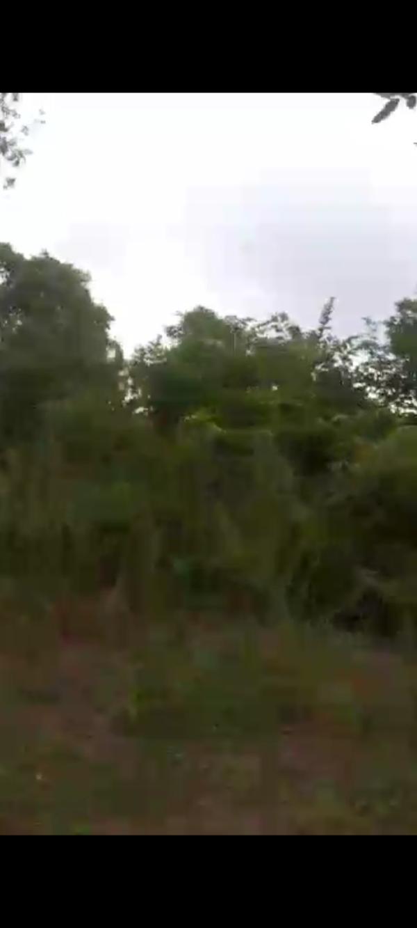  Terrains Disponibles Au Burkina Faso - mine terrain concession nous avons des villas en vente à bobo dioulasso,  des terrains de plusieurs hectares dans de nombreuses localités du burkina faso n'hésitez pas à me faire signe pour plus d'exploitation merci bien !!