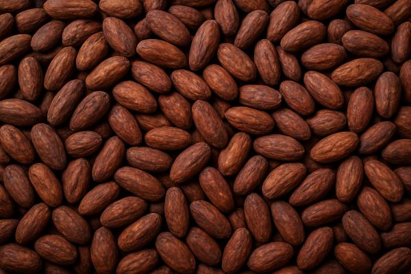  Vente De Cacao Au Togo (fèves Ou En Poudre) - café cacao thé vente de cacao en fèves ou poudre au togo--nous recherchons des acheteurs sérieux--mise à disposition - plusieurs tonnes par mois--prix négociable--fob--contactez-moi si sérieux--