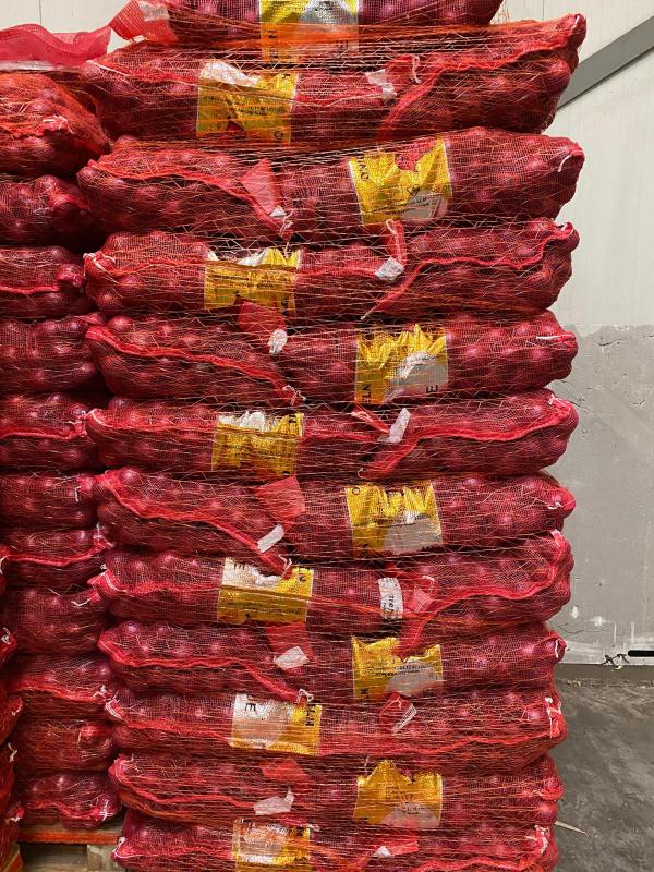  Oignons Jaunes Rouges (calibre 45/65 Mm) - fruits et légumes oignons jaunes & rouges (calibre 45/65 mm)----notre société hollandaise propose à l’export des oignons de haute qualité,  disponibles en variétés jaunes et rouges,  conditionnés en filets de 25 kg.----conditionnement & logistique--• calibre - 45/65 mm--