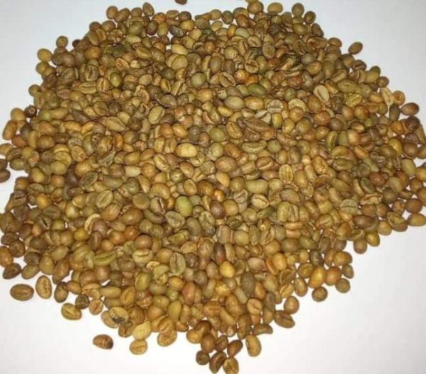  Café Robusta De Côte D'ivoire - café cacao thé  &agrave; tous nous avons le caf&eacute; robusta de tr&egrave;s bonnes qualit&eacute;s. c'est la nouvelle r&eacute;colte c'est le moment id&eacute;al pour vous importateur de caf&eacute; de faire le choix d'approvisionnement en quantit&eacute; et en qualit&eacute;s. 