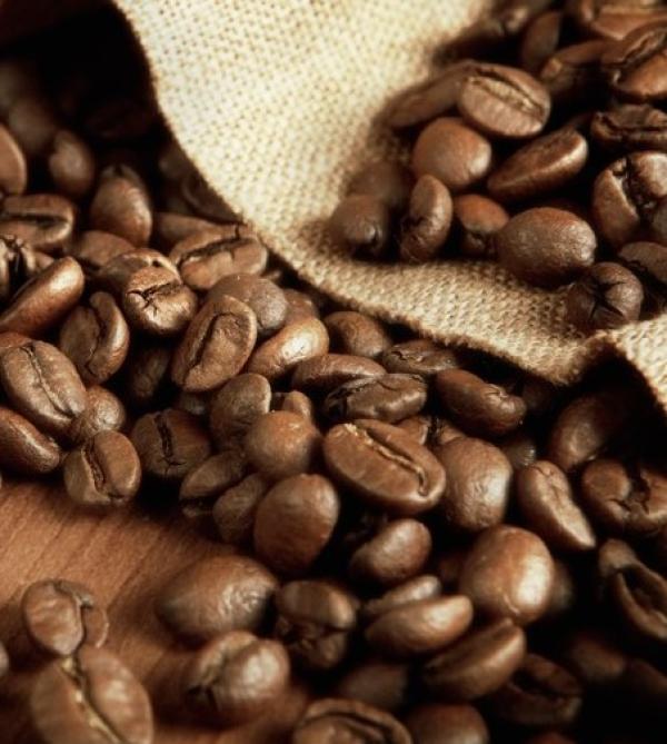  Uganda Robusta Green Coffee Beans Fob Mombasa - coffee cocoa tea product robusta green coffee beans (screen 12) origin uganda available quantity 760 metric tons packaging 60 kg net in jute bags port of loading mombasa port kenya estimated delivery 30 days after advance payment payment terms sblc 30% advance – balance against documents price 4 725