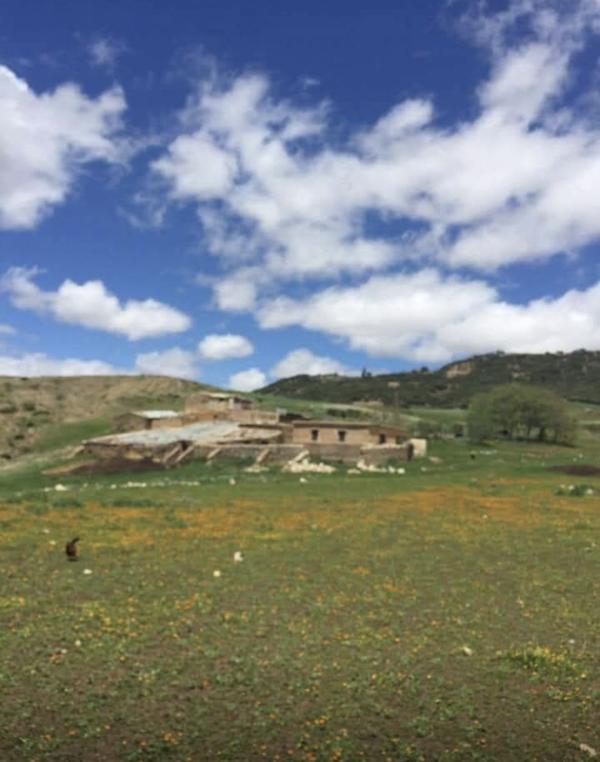  Terrain Vendre - mine terrain concession vends terrains magnifiques propres et exploitable avec en prime un puit et une maison . surface est de 71 . hectares. cette annonce est destin&eacute;e aux clients potentiels ( possibilit&eacute; de faire un immense complexe ou agricole ou autre … )le prix est de 100000 dirhams l hectare n&eacute;g