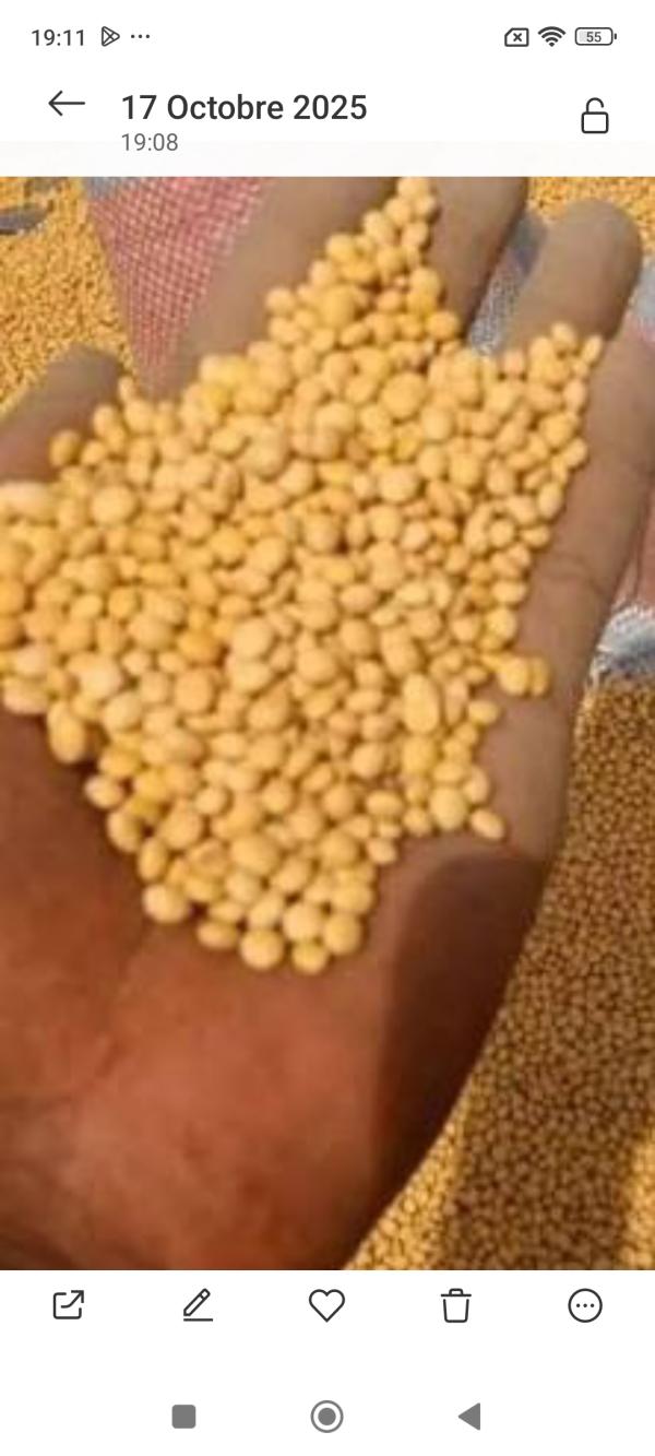  Soja Vendre - céréales  nous sommes une association de villageois habitant &agrave; nikki au b&eacute;nin nous cherchons des clients car nous avons environ 3200 tonnes de soja &agrave; notre disposition que nous souhaitons revendre . toutes personnes int&eacute;ress&eacute;es pri&egrave;re de nous contacter par