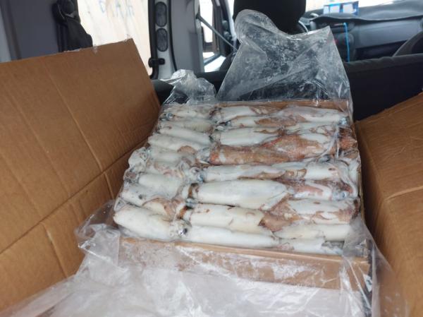  Vente De Calamar Congelé Bord Agadir - poissons bas&eacute; &agrave; agadir (maroc) je propose un lot de calamars congel&eacute;s &agrave; bord issus de la grande peche avec cong&eacute;lation imm&eacute;diate pour garantir fra&icirc;cheur et qualit&eacute;. d&eacute;tails du lot calamar 4p 500/1000 kg calamar 3p 400/600 kg 