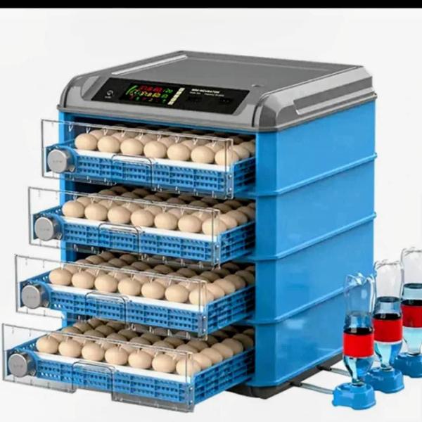  Couveuse 100% Automatique Importé - viandes et oeufs  je vends des couveuses automatiques import&eacute;. capacit&eacute; &agrave; partir de 200 &oelig;ufs &agrave; 155000 fcf &agrave;. beaucoup moins cher que le prix du march&eacute;. contactez moi meme si vous voulez des couveuses de capacit&eacute; de 10000 &oelig;ufs je peux fournir je