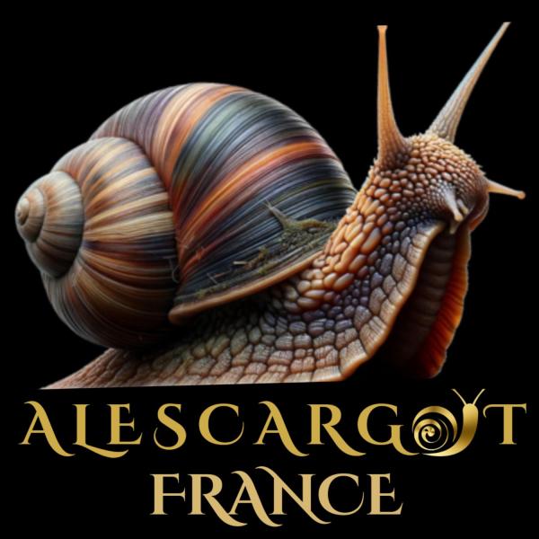  Oeufs Naissains Escargots Hélix Aspersa Maxim - viandes et oeufs nous recherchons des partenaires pour l achat d &oelig;ufs et naissains d escargots **helix aspersa maxima (gros gris)** disponibles ** toute l ann&eacute;e** avec une **priorit&eacute; accord&eacute;e aux producteurs d europe de l est** (pologne bulgarie roumanie hongrie ). les &oelig;ufs