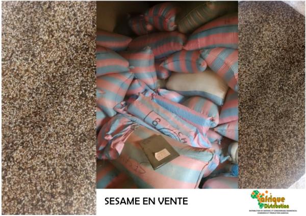 Vente De Sesame - fruits secs et graines grillées nous avons du s&eacute;same &agrave; vendre. disponible imm&eacute;diatement stock&eacute; 30 tonnes. nous sommes bas&eacute;s en c&ocirc;te d'ivoire et nous pouvons livrer &agrave; l'export.
