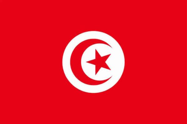  Lyophilisation De Fruit_légume_terre Tunisie - fruits et légumes nous sommes une entreprise en phase de lancement et bas&eacute;e en tunisie sp&eacute;cialis&eacute;e dans la lyophilisation de fruits et l&eacute;gumes de haute qualit&eacute; des noyaux des dattes . destin&eacute;s &agrave; l'exportation vers l'europe et l'afrique subsaharienne. nous propos