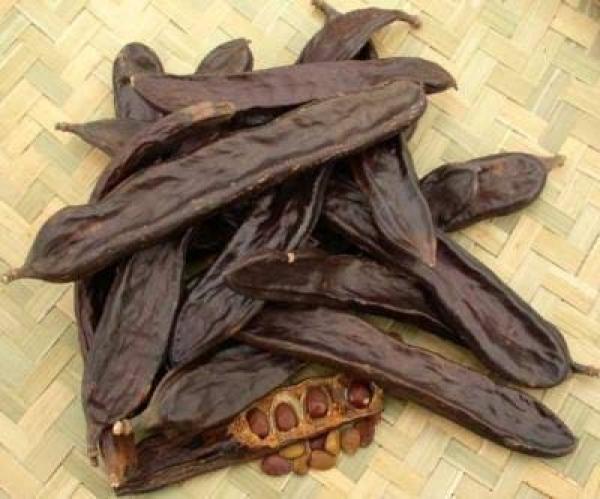  Caroube - fruits et légumes objet offre commerciale – vente de caroube naturelle monsieur / madame nous avons le plaisir de vous pr&eacute;senter notre offre concernant la vente de caroube naturelle de haute qualit&eacute; produite localement selon les meilleures normes de s&eacute;lection et de s&eacute;chage. notre pr