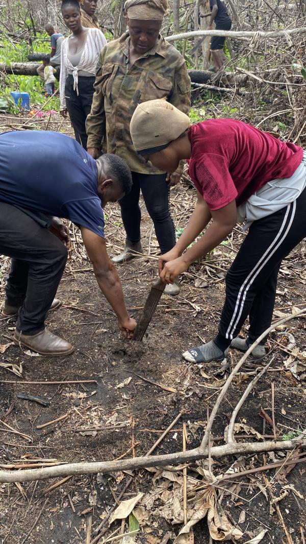  Découvrez Nos Pistaches De Haute Qualité - fruits secs et graines grillées d&eacute;couvrez nos pistaches fra&icirc;ches et d&eacute;licieuses cultiv&eacute;es dans la r&eacute;gion de l’est du cameroun avec amour et soin pour vous offrir le meilleur go&ucirc;t et la meilleure qualit&eacute;. nos pistaches sont  *riches en nutriments* nos pistaches sont une excell