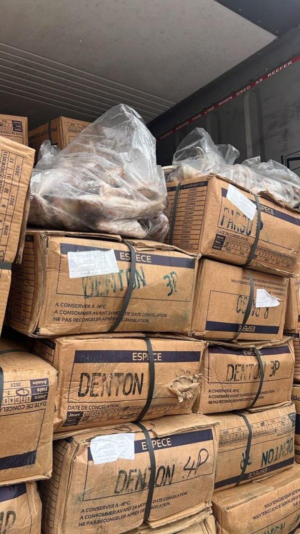  Vente De Poissons Surgelés - poissons  poissons surgel&eacute;s disponible &agrave; l'export chinchards mullets denton africa mix chopa burro cabezote besugo pageot al bacore etc en carton de 20 &agrave; 22 kg soit 1400 cartons pour 28 tonnes. contactez nous vite via whatsapp ou par mail. 