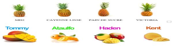 Vente De Sites Internet De Fruits Et Legumes - Investissement capitaux vente de sites internet de e commerce de fruits etr legumes nous mettons en vente des sites internet de e commerce de fruits et l&eacute;gumes sur le plan international. 