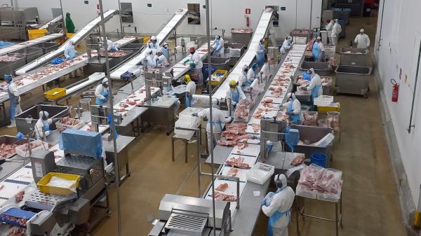  Viande De Boeuf Et Volaille Depuis Le Brésil - viandes et oeufs  nous proposons de la viande de boeuf et de volaille depuis le br&eacute;sil. possibilit&eacute; halal et casher. cde minimum 1 conteneur. 