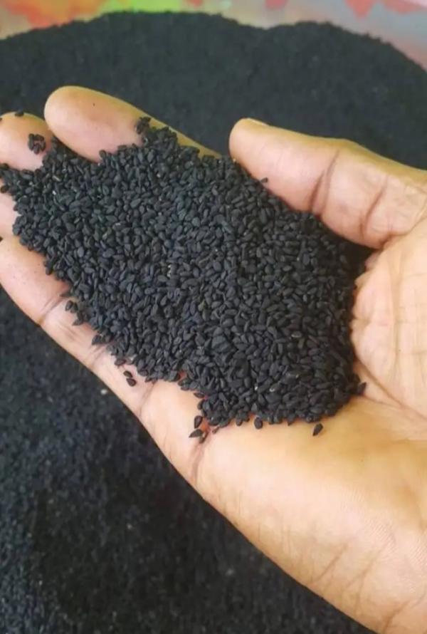  Graines De Nigelle Et Huile De Nigelle - matiere vegetale nous disposons de grande quantit&eacute; de graines nigelle d'&eacute;thiopie et de l'huile pur press&eacute; &agrave; froid. nous cherchons un client pour &eacute;couler nos deux produits.