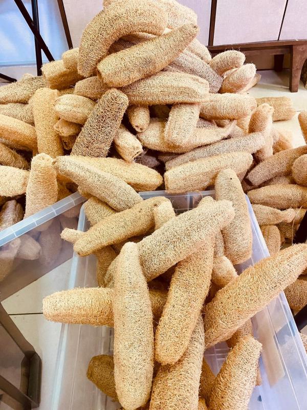  Éponge Naturelles Luffa) - hygiene entretien les &eacute;ponges luffa sont naturelles,  ne contiennent de colorants ou autres substances chimiques. elles sont id&eacute;ales pour la peau. long de 1 m ,  nous vendons 500 fcfa l'unit&eacute;. veuillez contacter pour plus d'informations.