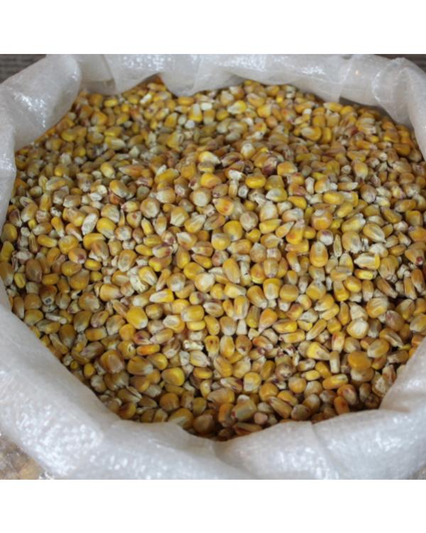  Maïs - aliments pour animaux voici une version claire accrocheuse et pr&eacute;cisant la quantit&eacute; minimale (1 tonne) > recherche maïs pour poules et coqs – minimum 1 tonne particulier cherche du maïs en grains ou concass&eacute; pour nourrir ses poules et ses coqs. quantit&eacute; recherch&eacute;e au moins 1 
