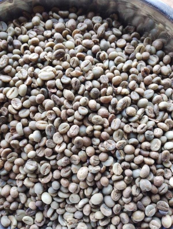  Café Arabica De Madagascar Qualité Premium - café cacao thé notre entreprise 261 industry bas&eacute;e &agrave; madagascar exporte du caf&eacute; arabica de haute qualit&eacute; cultiv&eacute; dans les hautes terres d’anadapa une r&eacute;gion reconnue pour la richesse de ses sols volcaniques. nous exportons du caf&eacute; arabica 100 % naturel de madag