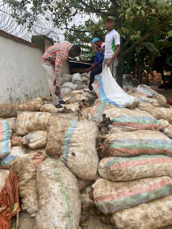  Vente D'hévéa En Fob Au Port De Matadi Rdc - matiere vegetale  nous sommes une entreprise de trading de mati&egrave;res premi&egrave;res. nous collectons les productions des coop&eacute;ratives agricoles pour l'exportation. nous avons une prodution de 250 tonnes d'h&eacute;v&eacute;a chaque 45 jours que nous vendons en fob au port de matadi en r&