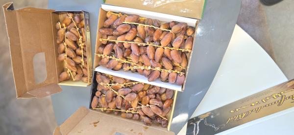  Dattes Fraiches Deglet Nour 2025 Tunisie - fruits et légumes nous sommes une entreprise franco tunisienne productrice importatrice et distributrice sp&eacute;cialis&eacute;e dans la commercialisation des dattes et des fruits en g&eacute;n&eacute;ral par la distribution vers plusieurs pays du monde. nous aurons l'honneur de proposer tous types de dattes et