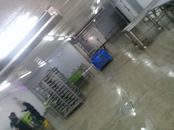  Fishing Business - other hello,  the octopus fishing season will start in mauritania in 4 days and we will be happy to receive your requests to obtain our octopus product.