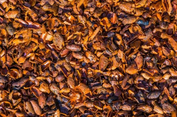  Coques De Cacao- 500 Tonnes Usd 370/tn - café cacao thé quantit&eacute; 500 tonnes prix propos&eacute; 370 usd / tonne termes fob abidjan/san pedro exigences fournisseurs s&eacute;rieux et &eacute;tablis uniquement fiche technique d&eacute;taill&eacute;e obligatoire capacit&eacute; &agrave; fournir la quantit&eacute; demand&eacute;e 