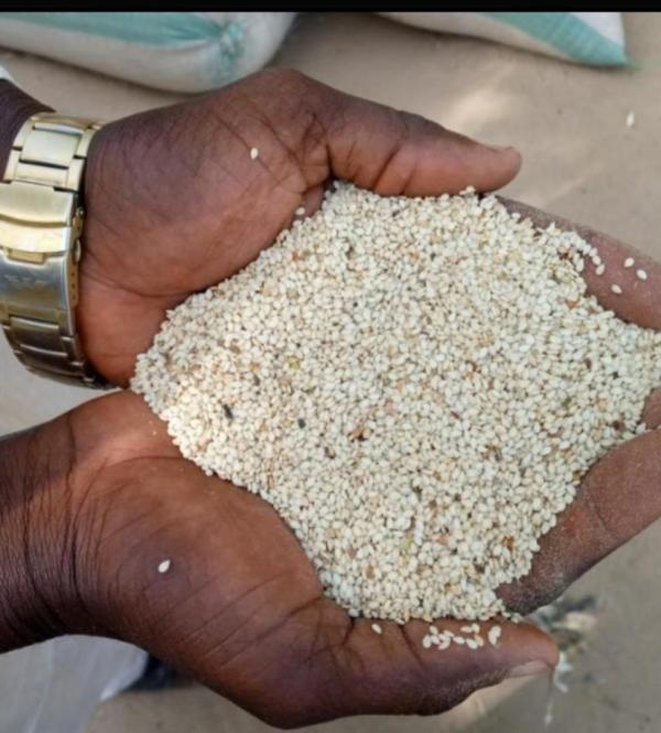  Soja, Arachide Et Sésame - fruits secs et graines grillées nous disposons en grande quantit&eacute; &agrave; exporter des ces fruits soja s&eacute;same et arachide. nous sommes situ&eacute;s au b&eacute;nin. nous sommes ouverts pour recevoir des commandes venant de partout 