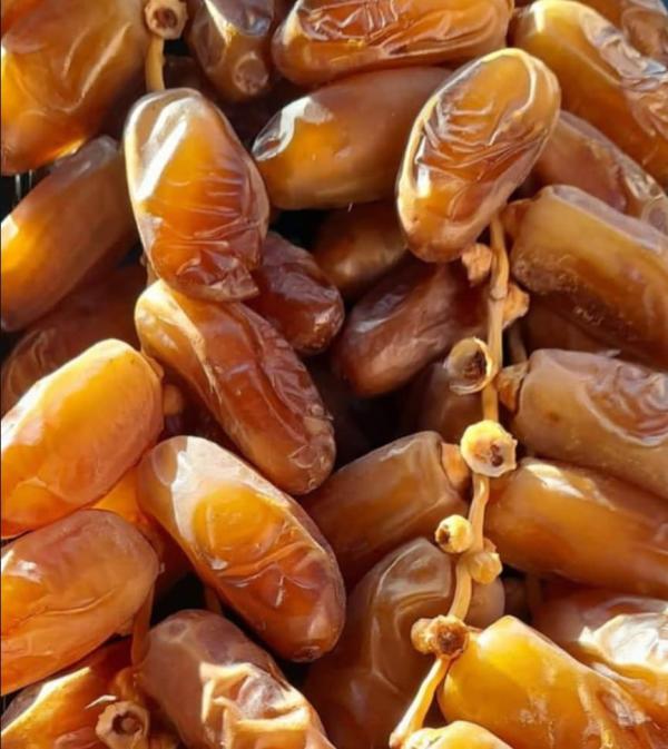  Dattes Origine Tunisie - fruits secs et graines grillées par conteneur 40 pied on peut charger  1000 cartons 250gr x 24 = 1 95  kg 1000 cartons 500gr x 12 = 1 85  kg. pour les dattes branch&eacute; extrat qualit&eacute; sup&eacute;rieure dans des bouquets de 500gr = 2 90  le kg. (1.45  les 500g le paquet de dattes branch&eacute;es) 500 ca