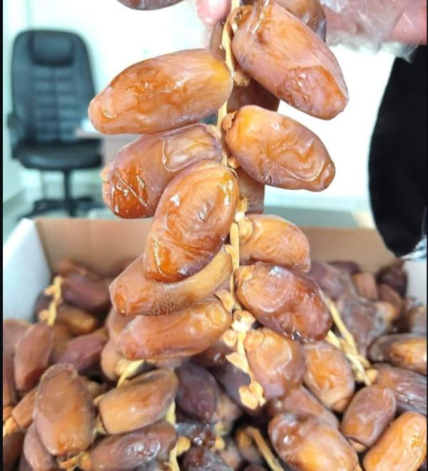  Dattes Origine Algérie - fruits secs et graines grillées dattes d'origine alg&eacute;rienne en qualit&eacute; medium + super qualit&eacute;. deglet nour certificate compris sur factures.. en cif tous ports europ&eacute;ens dattes branch&eacute;es = 3 80€ le kg dattes branchettes = 3 90€ le kg dattes aarjoun 3kg = 4 80€ le kg