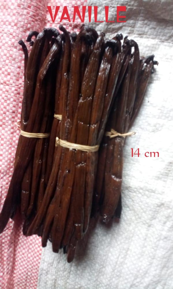  Offre De Vanille De 14 Cm Et Plus - épices aromates votre partenaire coop&eacute;rative de vanille et &eacute;pices de madagascar. bourbons de vanille noir gourmet longueur 14 cm et plus gousses fra&icirc;ches et non fendues qualit&eacute; gourmet . r&eacute;colte 2025 capacit&eacute; de production annuelle 60 tonnes de vanille s&egra