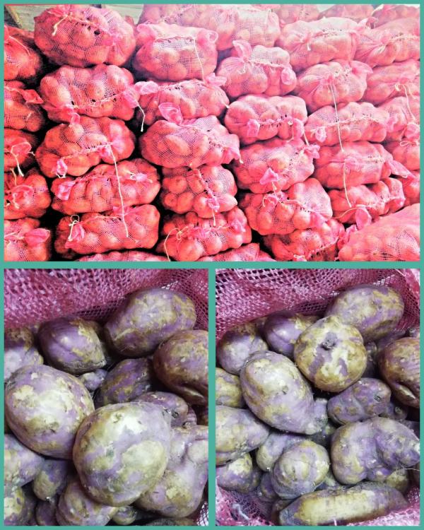  Des Produits Meilleurs Prix - fruits et légumes  nous sommes un fournisseur. nous fournissons *de patates douces *de gingembre *d oignons *de pommes de terre. comme d habitude nos produits sont toujours propos&eacute;s aux meilleurs prix. n h&eacute;sitez pas &agrave; nous contacter pour obtenir davantage d informations ou pour