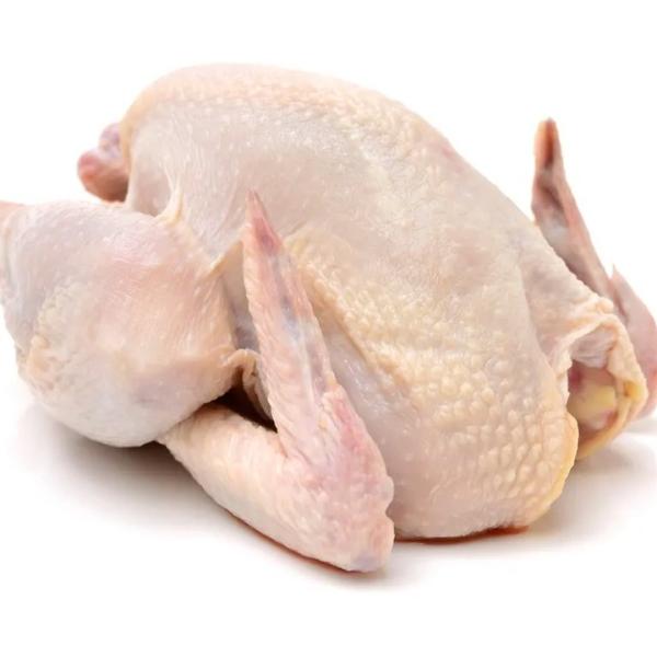  Frozen Whole Chicken 10kg - meat and eggs hello, ----we are one of the leading suppliers of top quality frozen whole chicken. we have the ability of supplying you with different origins and meeting your demands of any quantity. we have a very high reliability ratio with all our customers and will always meet your demands with high quality pr