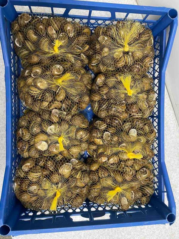  Fournisseur De Escargots Vivants Et Réfrigéré - crustacean shell ukrainian producer and exporter specializing in the breeding and supply of helix aspersa müller and helix aspersa maxima snails. our farm is located in the kyiv region and covers 4 hectares of production area certified under haccp standards. we guarantee european quality stable supply volumes and