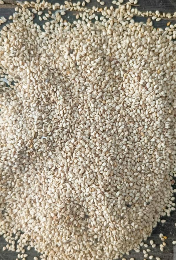  Je Cherche Partenaire Pour Lui Acheter Sésame - fruits secs et graines grillées vente du s&eacute;same au b&eacute;nin. je cherche un client partenaire pour lui acheter ou lui vendre du s&eacute;same au b&eacute;nin. l'exportation de s&eacute;same n'est pas interdite au b&eacute;nin.le s&eacute;same c'est mon domaine et c'est ma sp&eacute;cialit&eacute;. je suis b&eacute;nin