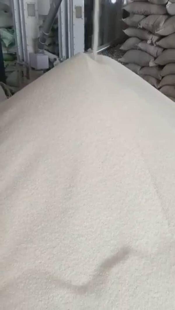  Export Of Several Varieties Of Rice - céréales hello everyone. rice export origin india sale of several varieties of rice. for all your rice supply needs don't hesitate to contact me. we have the capacity to supply several varieties of rice. minimum quantity 500 tons/month my whatsapp number is open  bonjo