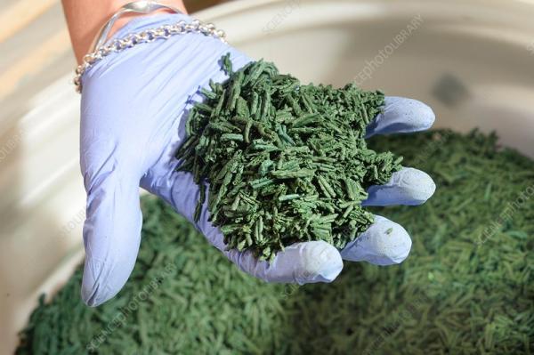  Consulting Spiruline Et Moringa - conseil et formation  je suis un expert en production de spiruline et moringa je propose des consultations techniques et strat&eacute;giques personnalis&eacute;es pour accompagner vos projets depuis la conception jusqu’&agrave; la production.