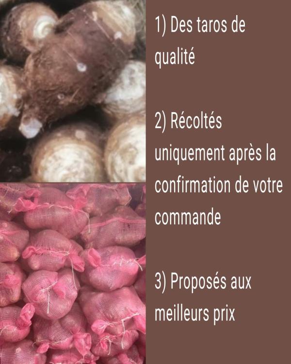  Taros (songes) - fruits et légumes  la prochaine saison des taros (songes) approche. si vous cherchez un fournisseur s&eacute;rieux et professionnel pret &agrave; vous fournir les meilleurs qualit&eacute;s aux meilleurs prix n'h&eacute;sitez pas &agrave; nous contacter d&egrave;s maintenant pour plus d'informations.