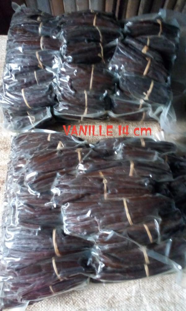 Recherche D'acheteurs De Vanille Premium - épices aromates vanille premium et autres &eacute;pices de madagascar en vente bourbons de vanille noir non fendue . longueur 14 cm et plus. qualit&eacute; gourmet . r&eacute;colte 2025 capacit&eacute; de production annuelle 60 tonnes de vanille s&egrave;che. prix fob &agrave; partir de 2